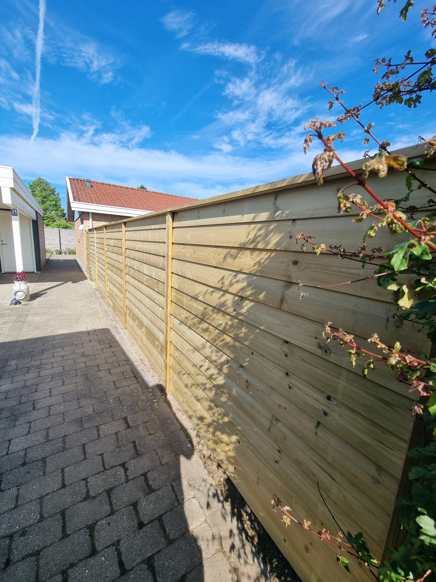 Hegn – billede 1